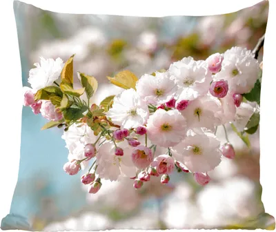 Produktbild von MuchoWow® Zierkissen Sofakissen Wohnzimmer Dekokissen 50x50 cm Blumen - Blüte - Frühling - Komfort - Sofakissen