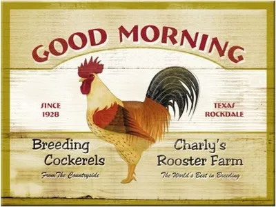 Produktbild von Nostalgic-Art - Magnet 6 x 8 cm - Animal Club - Good Morning