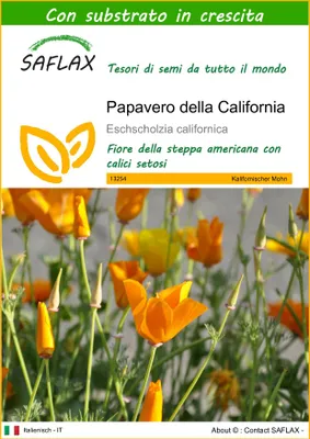 Immagine prodotto di SAFLAX - Papavero della California - 1500 semi - Con substrato - Eschscholzia