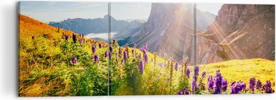 Produktbild von Bild auf Leinwand - Leinwandbild - Berge Wiese Blumen - 120x40cm - Wand Bild - Wanddeko - Leinwanddruck - Bilder - Kunstdruck - Wanddekoration - Leinwand bilder - Wandkunst - CA120x40-4008