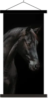 Produktbild von MuchoWow® Textilposter Pferd - Tiere - Schwarz - Porträt 90x180 cm mit schwarzem Rahmen - Dekoration Wohnzimmer
