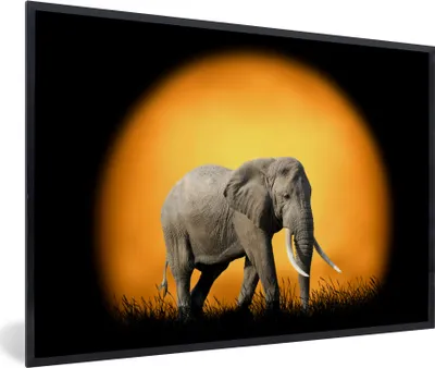 Produktbild von MuchoWow® MuchoWow® Gerahmtes Poster Elefant - Sonne - Gras 30x20 cm - Poster mit zchwarzem Bilderrahmen - Kunstdruck - Bild-Poster