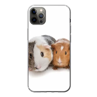 Produktbild von MuchoWow® Handyhülle Schutzhülle Hülle für iPhone 12 Pro Max Fünf Meerschweinchen Silikon Softcase Handy Hülle - Hartschale