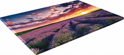 Zdjęcie produktu dla SZKLANA DESKA KUCHENNA 30x20 372a Lawenda
