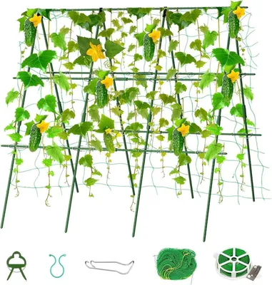 Obrázek produktu pro Sada 6 nastavitelných podpěr pro rajčata s výškou 120 cm zelená