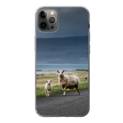 Produktbild von MuchoWow® Handyhülle Schutzhülle Hülle für iPhone 12 Pro Max Schaf - Lamm - Sturm Silikon Softcase Handy Hülle - Hartschale