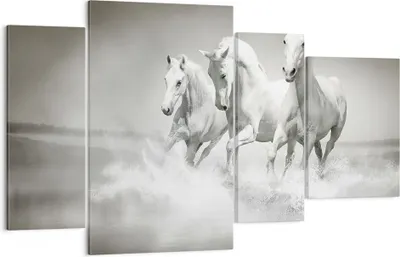 Produktbild von Bild auf Leinwand - Leinwandbild - Bauernhof pferde galopp freiheit - 120x70cm - Wand Bild - Wanddeko - Leinwanddruck - Bilder - Kunstdruck - Leinwand bilder - Wandkunst - DL120x70-2389