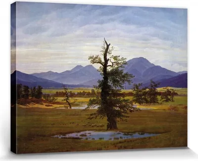 Obrázok produktu pre Caspar David Friedrich Obrázky Plátno Roztiahnuté plátno | XXL-Wall Picture Poster Art Print As Canvas Picture - Osamelý strom, 1822 (30 x 40 cm)