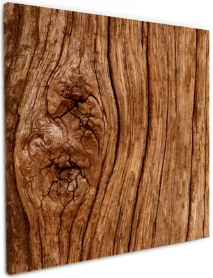 Produktbild von Wallario Premium Leinwandbild Holzstamm mit Asteinschluss in Größe 50 x 50 cm