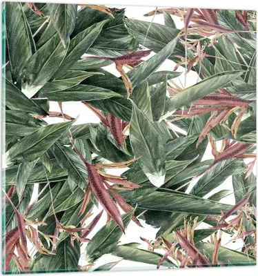 Produktbild von Bilder auf glas - Pflanze Blatt Blume - 50x50cm - Glasbilder - Wandbilder - Kunstdruck - zum Aufhängen bereit - Wanddekoration aus Glas - Glas Bilder - Wandbild auf Glas - Einteilig - GAC50x50-3844