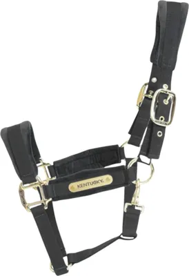 Produktbild von Kentucky Horsewear Velvet Halfter