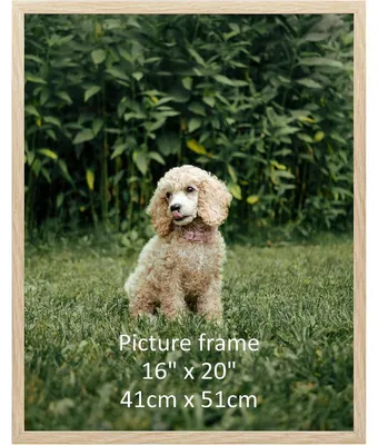 Image de Cadre photo en bois, couleurs naturelles, dimensions 40x50 cm, pour fixation murale, orientation horizontale ou verticale
