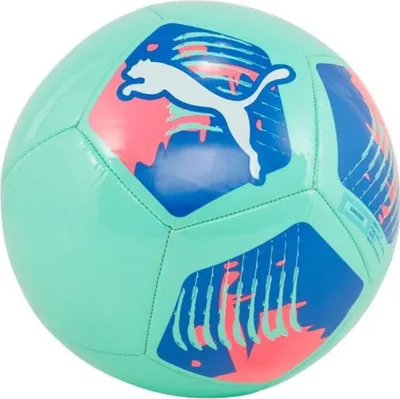 Image de Balons Puma 8421413