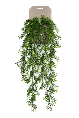 Produktbild von Emerald Kunstpflanze/Hangepflanze - Buchsbaum - grun - 75 cm lang
