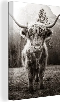 Produktbild von OneMillionCanvasses® - Leinwandbilder - 90x140 cm, Schottisches Hochlandrind - Tiere - Schwarz - Weiß, Wandbilder Kunstdruck Wanddekoration - Hochland Rind - Kuh - Gemälde auf - Wandschmucke - Schlafzimmer
