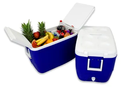 Produktbild von Kühlbox zur Kühlung von Lebensmitteln und Getränken mit 60 Liter Volumen