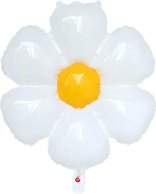Image de Ballons en aluminium en forme de fleur - 2 pièces