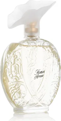 Produktbild von Aubusson Historie d'Amour EDT 100 ml W