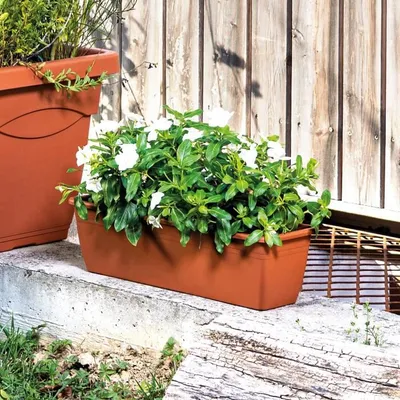 Immagine prodotto di DEROMA Vaso rettangolare in terracotta, ideale per interni, dimensioni 50 cm