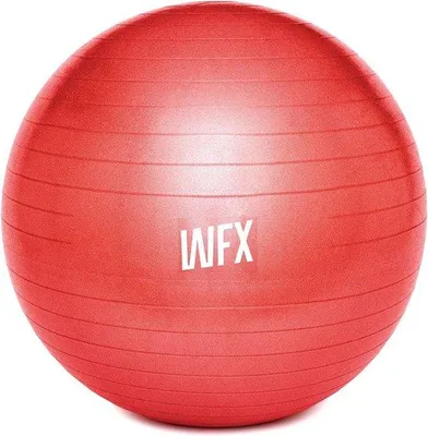 Produktbild von Famanu Gymnastikball mit Pumpe - 55 cm bis 85 cm, anti-burst, für Fitness und Büro