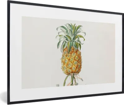 Produktbild von MuchoWow® Gerahmtes Poster Ananas - Pflanze - Lebensmittel 90x60 cm - Poster mit Schwarzem Bilderrahmen Wandposter Rahmen Foto Bilder - Fotorahmen - Foto-Plakat