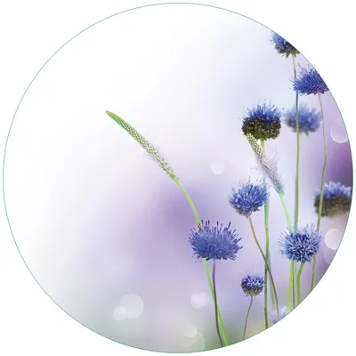 Produktbild von Wallario Premium Glasbild, freischwebende Optik, kräftige Farben, rund 50cm Durchmesser, Motiv Abstrakte lila Blume