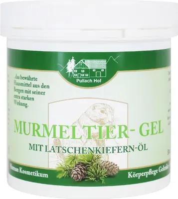 Produktbild von Murmeltier Gel m.Latschenkiefern-öl Pullach Hof 250 ml
