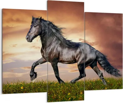 Produktbild von Bild auf Leinwand - Leinwandbild - Pferd Tier Wiese - 130x100cm - Wand Bild - Wanddeko - Leinwanddruck - Bilder - Kunstdruck - Wanddekoration - Leinwand bilder - Wandkunst - CB130x100-2608
