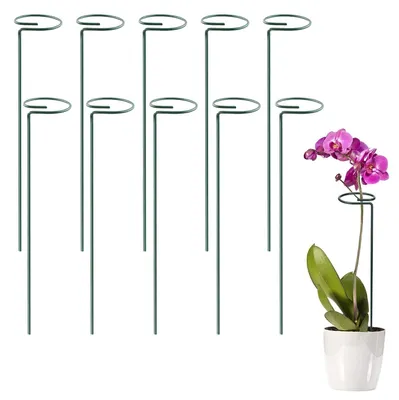 Imagen del producto de Soportes para tallos de plantas