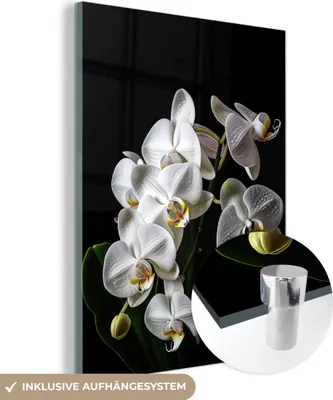 Produktbild von MuchoWow Glasbilder - Bilder auf Wandbild - Foto auf Glas Orchidee - Blumen - Weiß - Natur - Schwarz 60x80 cm Wanddekoration aus Glas - Acrylglasbild - Acrylbilder - Foto