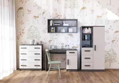 Produktbild von Kinderzimmer-Set Regal Wandregal Kommode Schreibtisch Grau/Weiß mit grauen  Griffen Jonas I 05