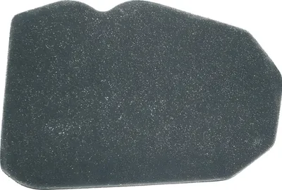 Immagine prodotto di Filtro dell'aria Vicma, compatibile con Honda NSR 125 R dal 1993 al 1998
