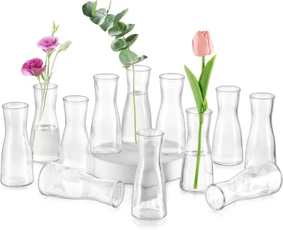 Produktbild von Kleine Glasvasen für Tischdeko, Klar Flower Vase Klein 12 Stück Blumenvasen Modern, Minimalistische Blumenvase Glas Vasen Set für Hochzeit Party Esstisch Tafelaufsatz Tischvase Deko