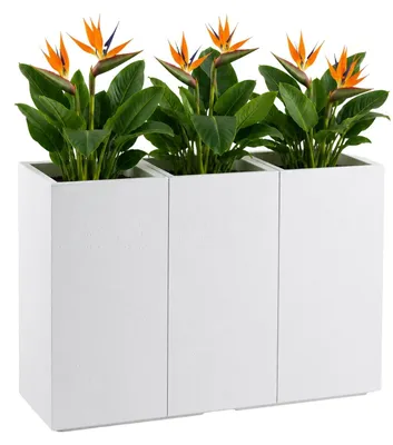 Immagine prodotto di HowHomely: Vaso da fiori con ruote, colore crema, 90x30x60 cm. Vaso esterno con aspetto in cemento