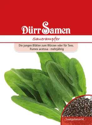 Produktbild von Sauerampfer | Sauerampfersamen von Dürr Samen