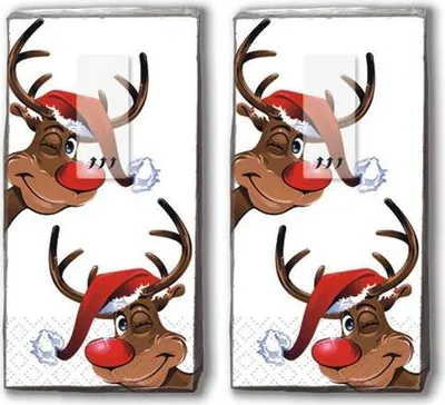 Produktbild von Rudolph Motivtaschentücher, 4-lagig, 2x 10 Stück, 22x21cm, wiederverschließbar