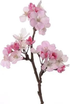 Produktbild von Kunstliche Pflanze Blume - Apfelblute - kunstliche Blume/Zweig - 17 Blumen - 36 cm - rosa