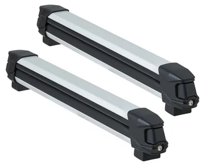Produktbild von 2 x Skiboard Snowboard Dachträger für bis zu 6 Paar Ski/4 Snowboards, abschließbarer Skidachträger mit Gummipolsterung