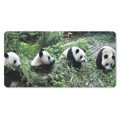 Produktbild von MuchoWow® Schreibtischunterlage Panda - Natur - Bambus 80x40 cm - XXL Mauspad - Gaming Mauspad