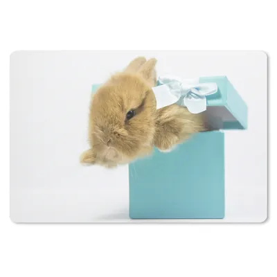 Produktbild von MuchoWow® Mauspad Mousepad Kaninchen - Pastell - Blau 27x18 cm - Mousepads - Maus Mat - Pad - Mausunterlage - Büroartikel - Desk Matten