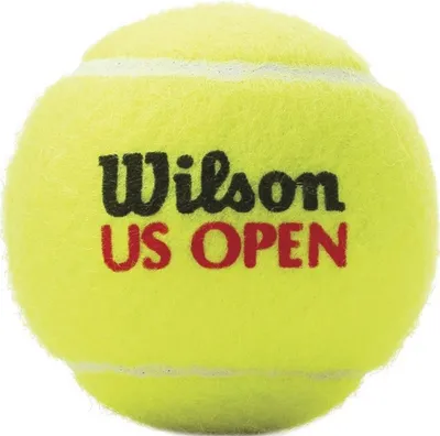 Image de Paquet de 3 balles de tennis Wilson Us Open Extra Duty multicolores