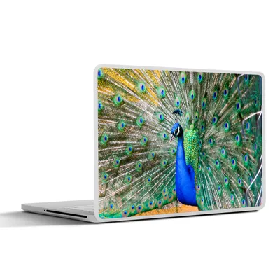 Produktbild von MuchoWow® Laptop Aufkleber Sticker Cover Pfauenfedern - Blau - Grün 31x22.5 cm - Laptop-Deko