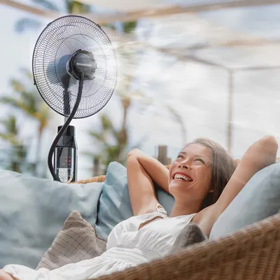 Image de InnovaGoods | Nébuliseur sur pied BRISSQA avec ventilateur | Noir
