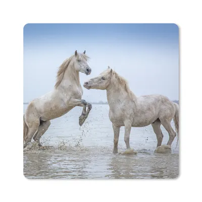 Produktbild von MuchoWow® Mauspad Mousepad Zwei Pferde im Wasser in der Camargue 20x20 cm - Mousepads - Maus Mat - Pad - Mausunterlage - Desk Mat - Bureauartikeln