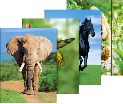 Produktbild von BRUNNEN Sammelmappe A3 Tiere Gummizug 1047035