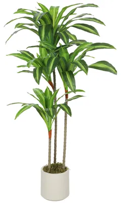 Obrázek produktu pro Umělá rostlina Dracaena, výška 120 cm, s bílým květináčem | Barva: zelená | Rozměry: 40x60x120 cm