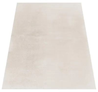 Produktbild von Moderner Wohnzimmer Teppich Kurzflor Waschbar Weich Felloptik Anti-Rutsch Grösse 240x340 cm