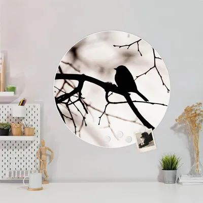 Produktbild von Design Stahlmagnettafel Weiß Rund 47cm Früher Vogel