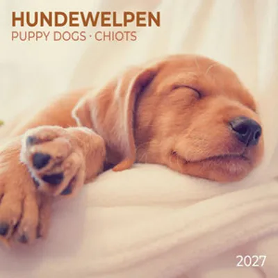 Immagine prodotto di Cuccioli di cane / Puppy Dogs 2027