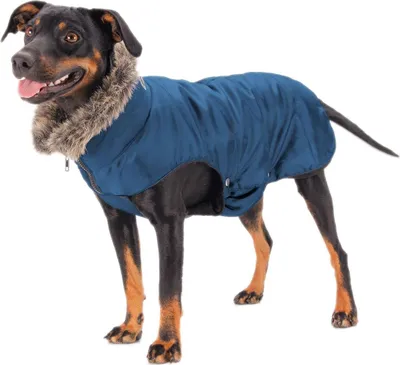 Produktbild von Eskadron Basic Quilted Hundemantel